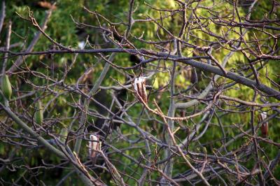 Прикрепленное изображение: 1028r.jpg